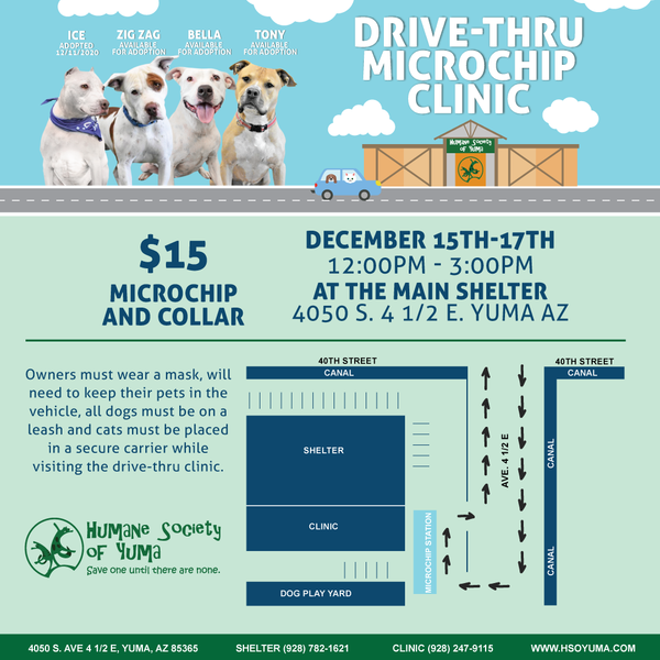 Can A Dog Have 2 Microchips